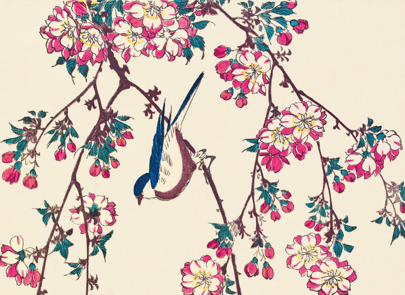 Kingfisher with Lotus Flower