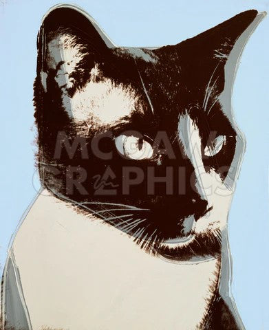 Warhol, Cats and Dogs (Broadway) 1976 Print