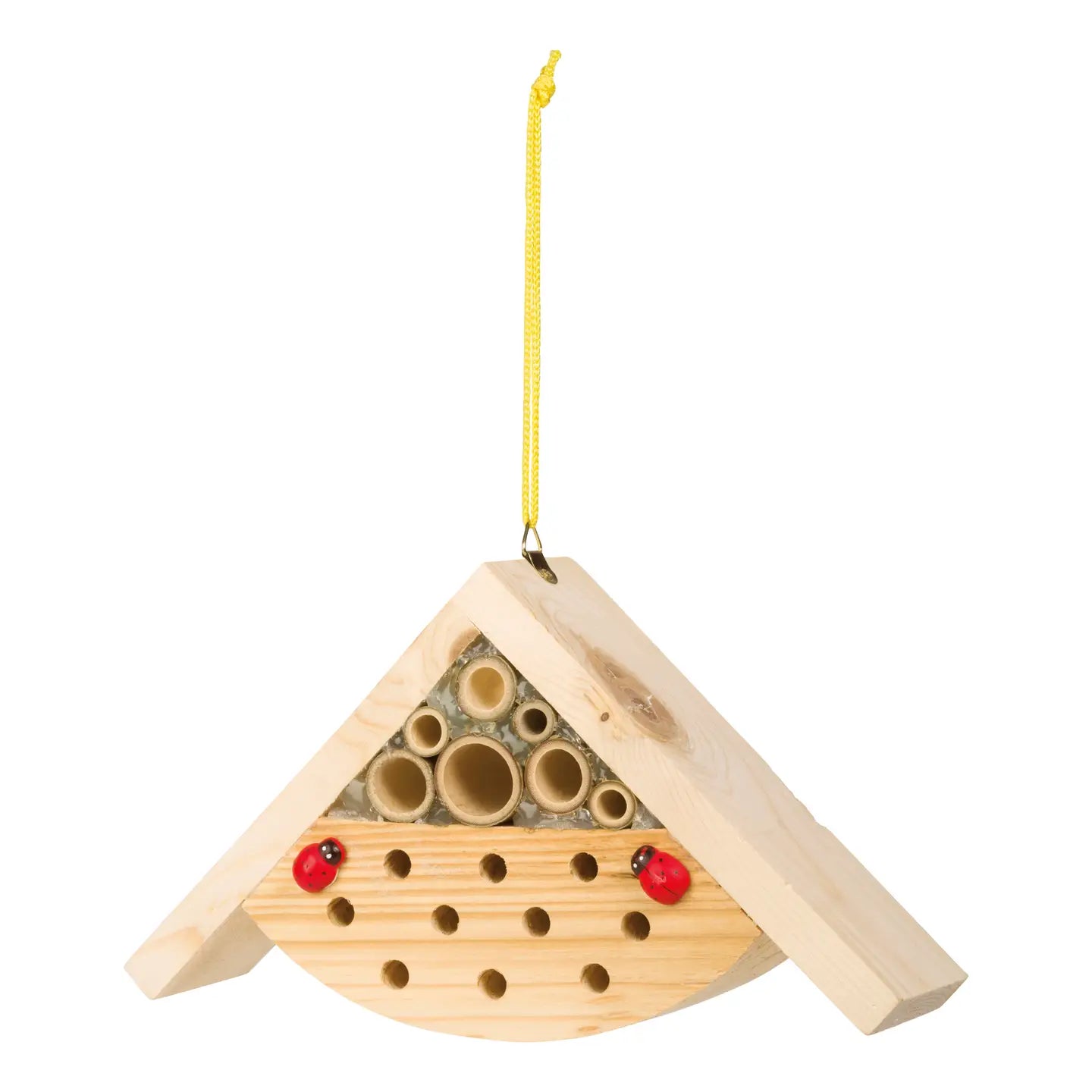 Paint A Bug Abode