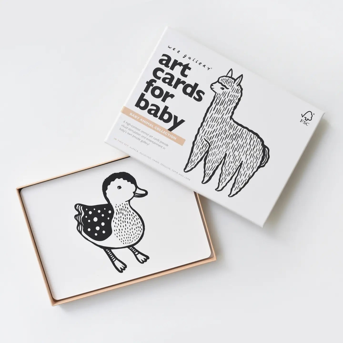 Baby Animal Art Cards