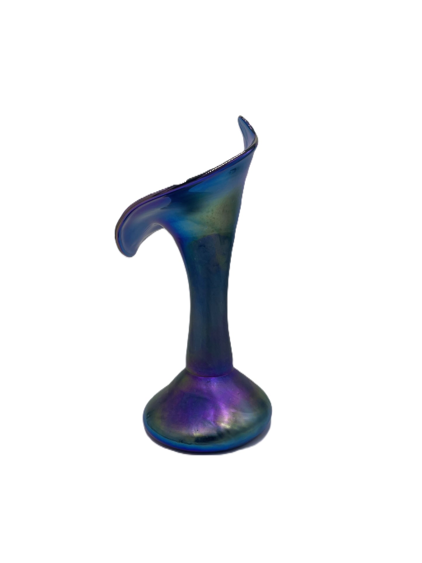 Blue Jack in the Pulpit CH