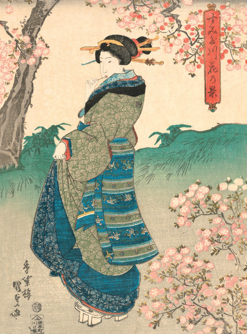 Cherry Blossoms Notecards