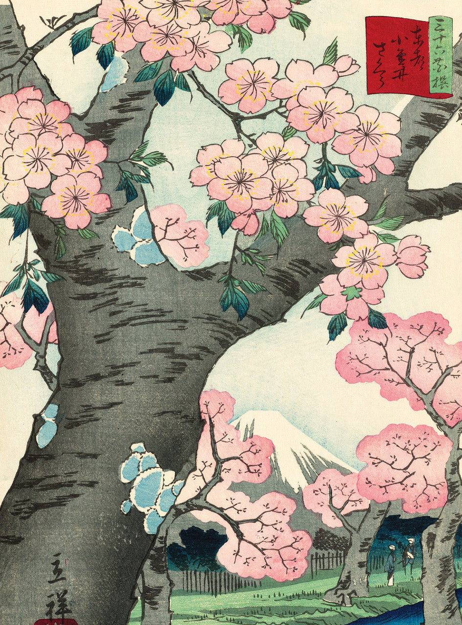 Cherry Blossoms Notecards