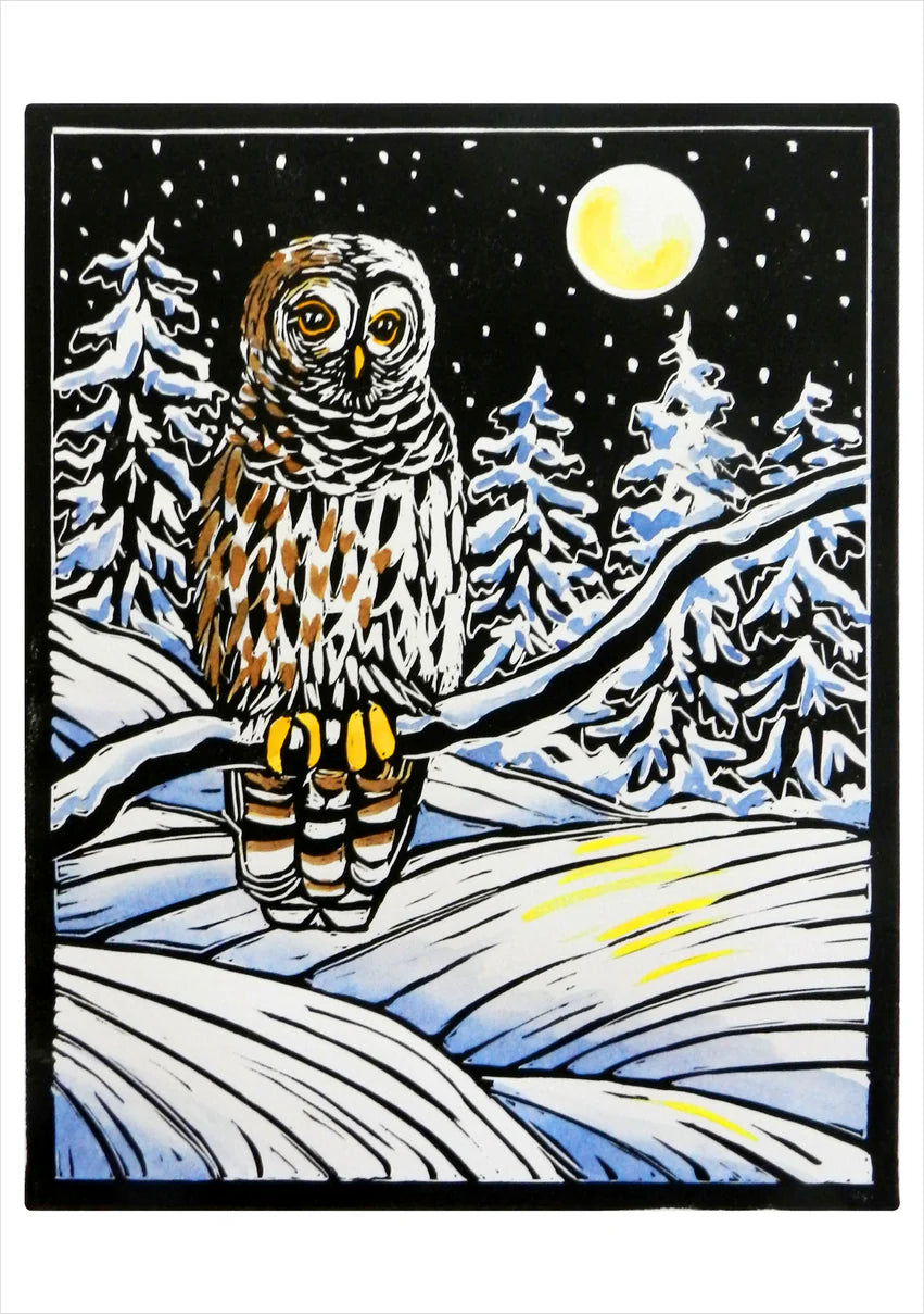 Hashimoto, Winter Birds Boxed Holiday Cards