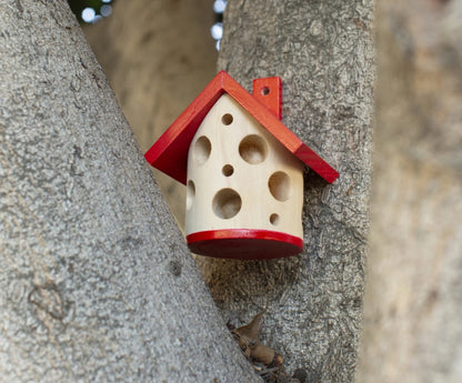 Ladybug House