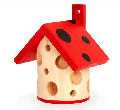 Ladybug House