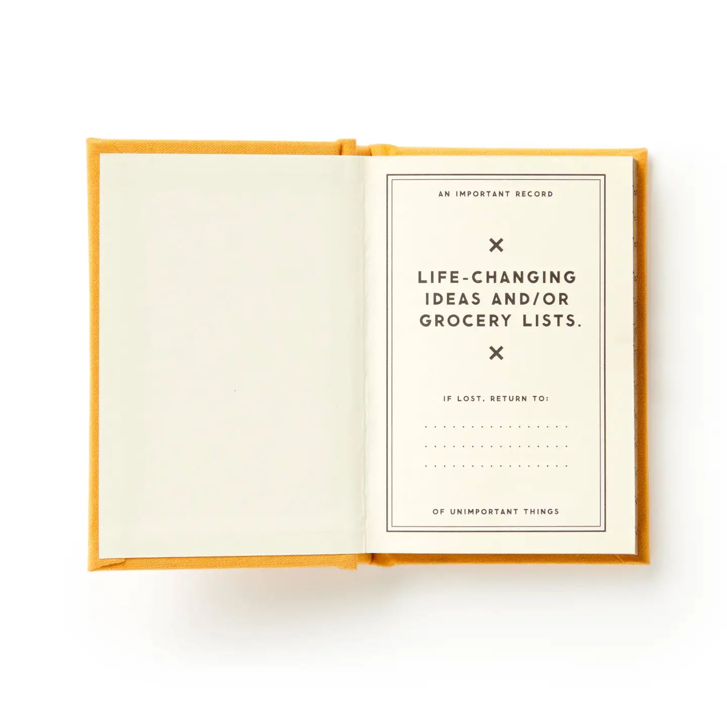 A Tiny Diary for Tiny Thoughts Notebook