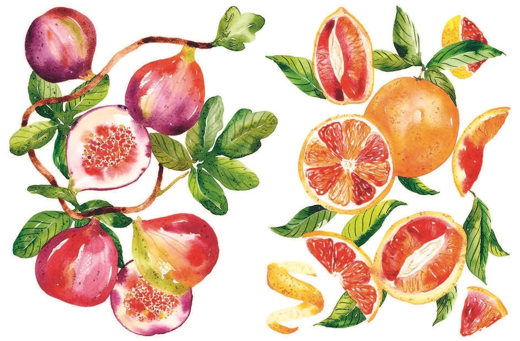Illustration of figs and grapefruits with green leaves on a white background