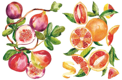 Illustration of figs and grapefruits with green leaves on a white background