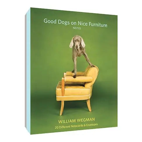 Good Dogs on Nice Furniture Notecards