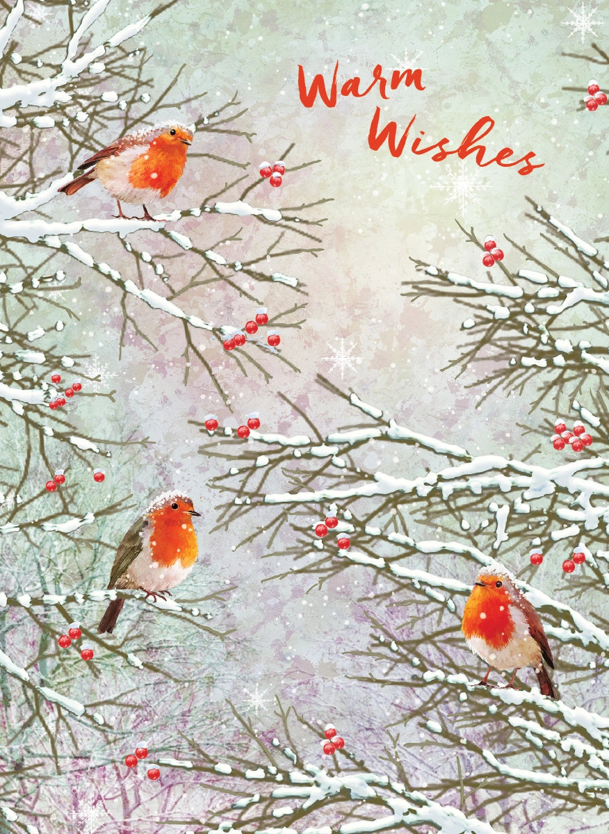 Robins Boxed Holiday Cards