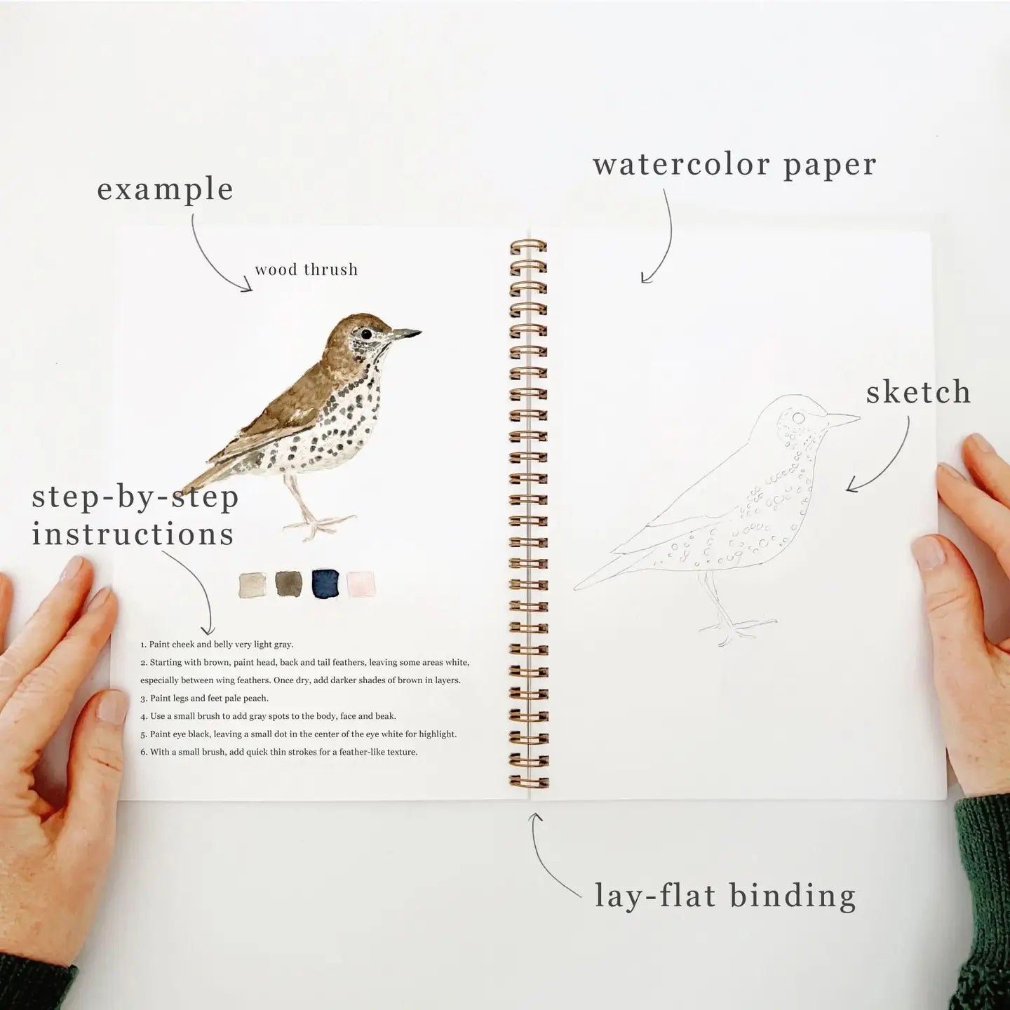 Open notebook with bird illustration, step-by-step instructions, and watercolor paper on a white background.