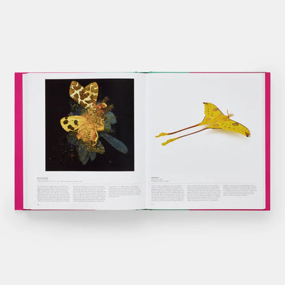 Open book showing images of yellow butterflies with a white background