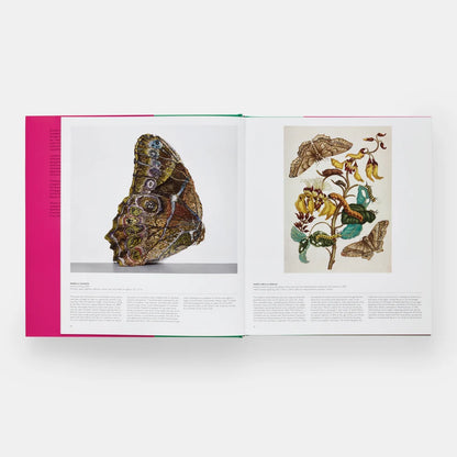 Open book displaying illustrations of butterflies and plants on a white background