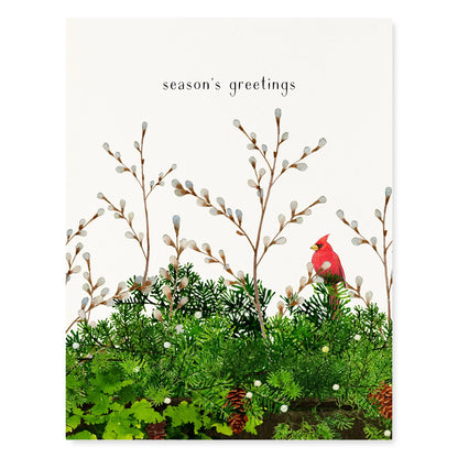 A cream holiday card featuring a pussy willow, greenery and cardinal watercolor design with the text "season's greetings" on a white background