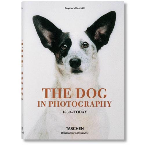 Dogs in Photography 1839-Today
