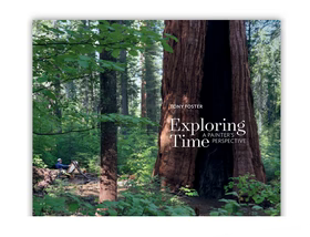 Book cover with a forest scene and text 'Exploring Time Perspective' by Tony Foster.