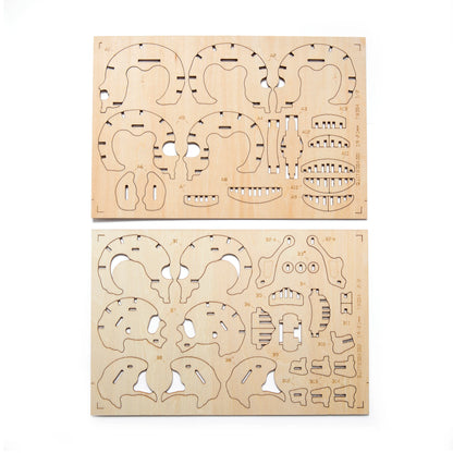 Skull 3D Puzzle