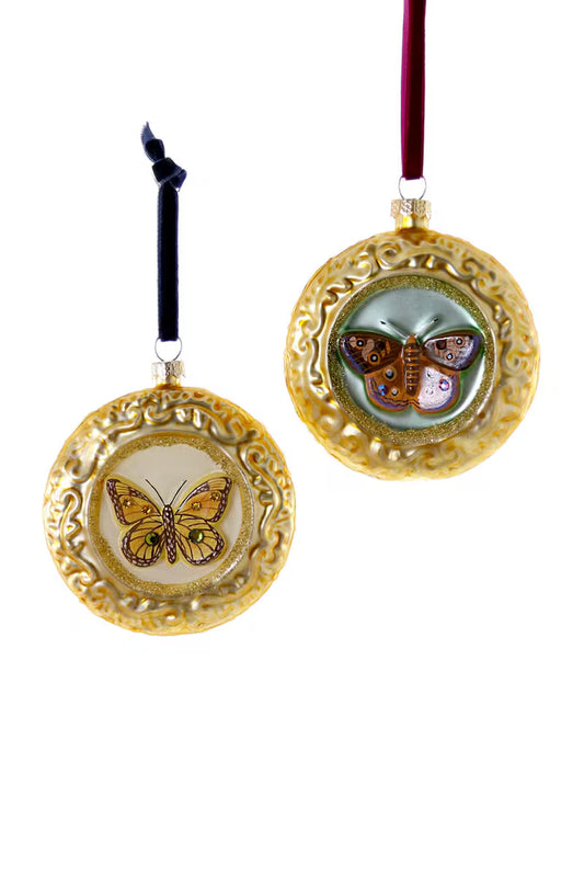 Framed Butterfly Glass Ornament