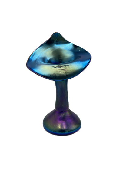 Blue Jack in the Pulpit CH