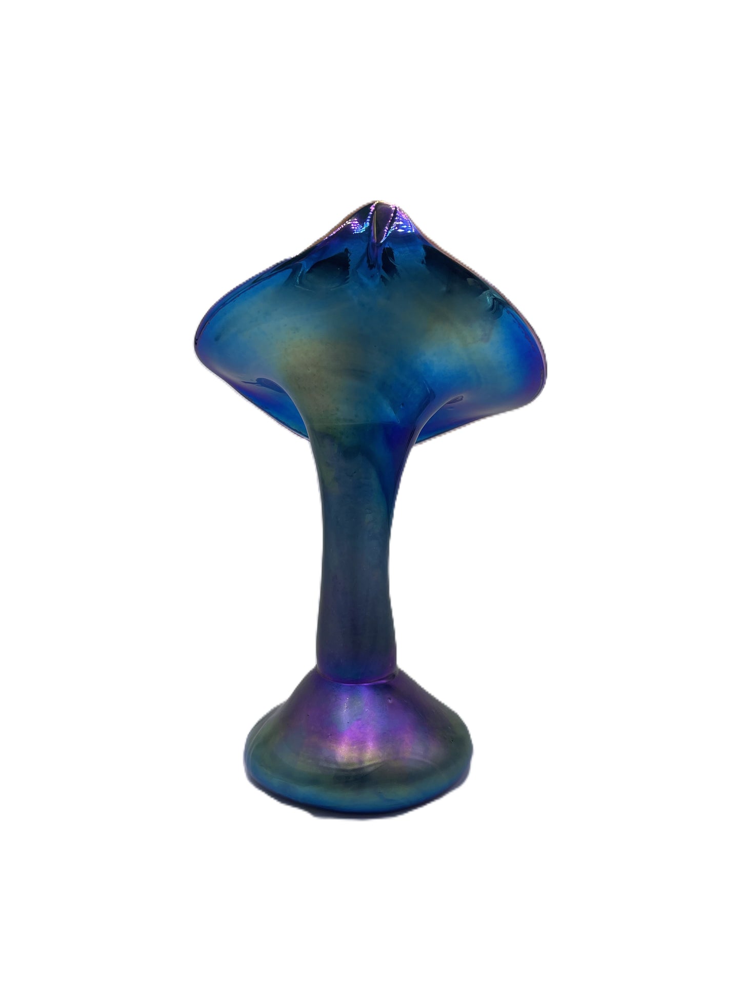 Blue Jack in the Pulpit CH