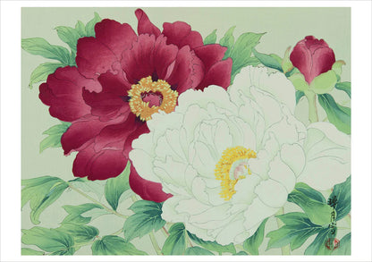 Japanese print of red and white flowers with green leaves on a light green background
