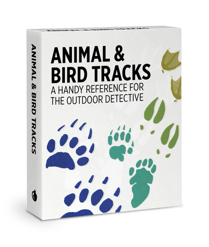 Animal & Bird Tracks: A Handy Reference for the Outdoor Detective Knowledge Cards