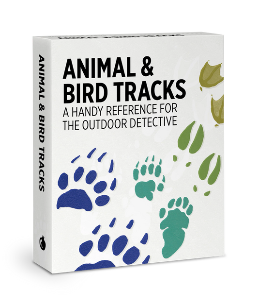 Animal & Bird Tracks: A Handy Reference for the Outdoor Detective Knowledge Cards