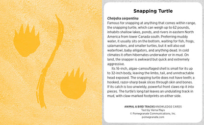Animal & Bird Tracks: A Handy Reference for the Outdoor Detective Knowledge Cards