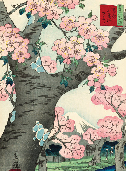 Cherry Blossoms Notecards