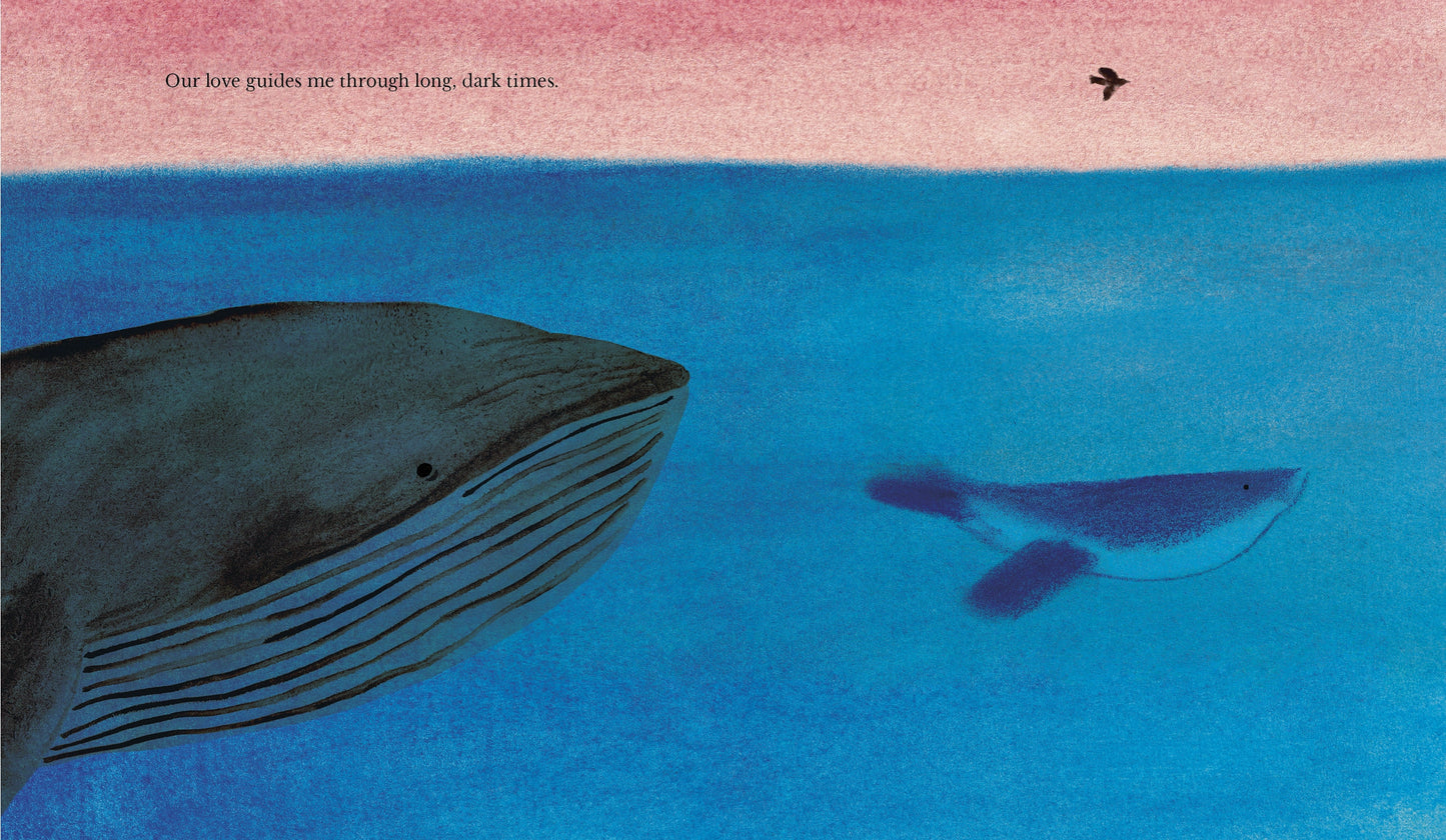 Illustration of a large whale and a smaller one swimming in the ocean with a pink sky.