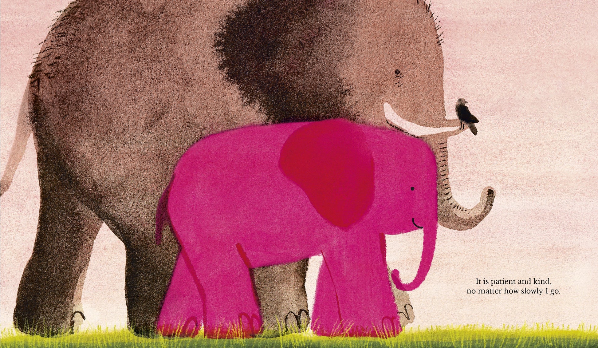 Illustration of a large gray elephant and a small pink elephant standing together on grass with a neutral background.