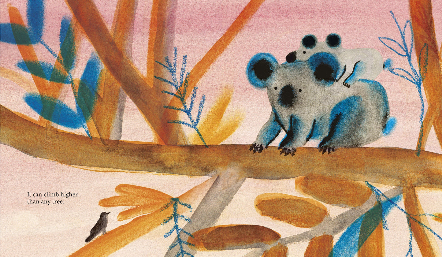 Illustration of koalas on a branch with colorful leaves and a pink background