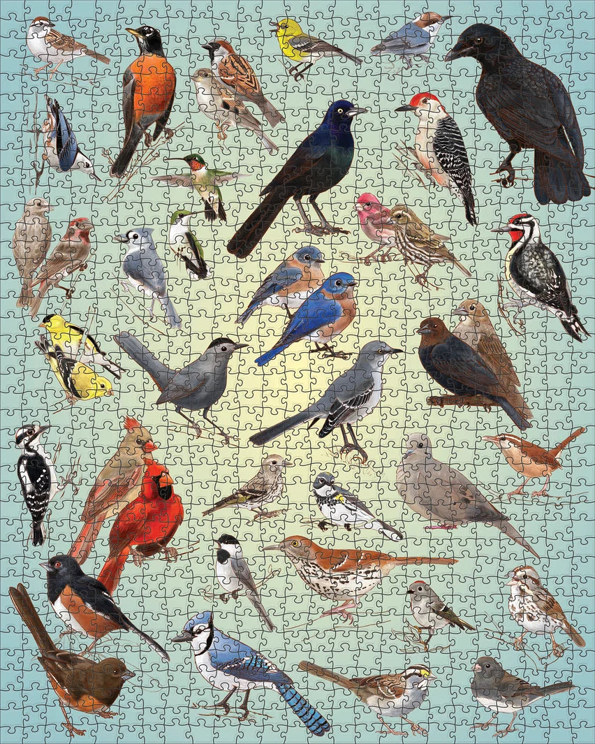 A completed 1000 piece puzzle featuring a variety of multi-colored birds on a light blue background