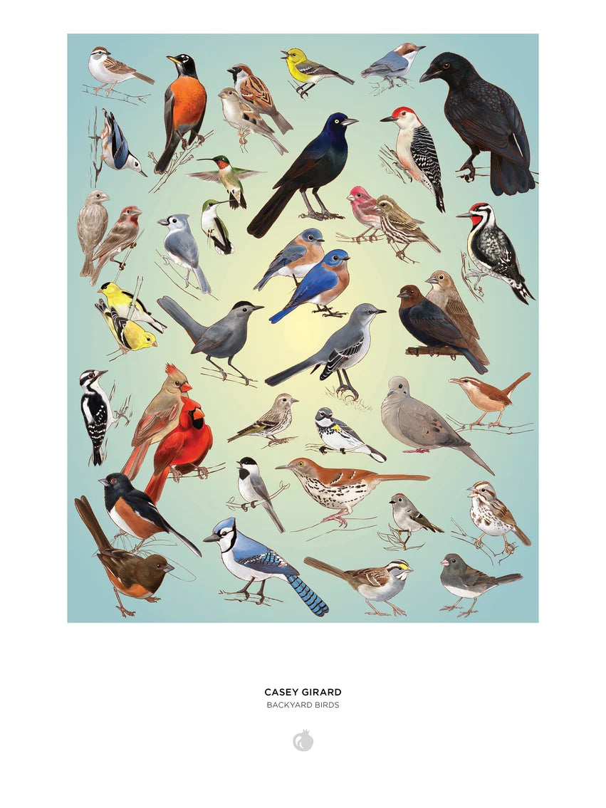 A poster featuring a variety of multi-colored birds on a light blue background with the words Casey Girard Backyard Birds at the bottom