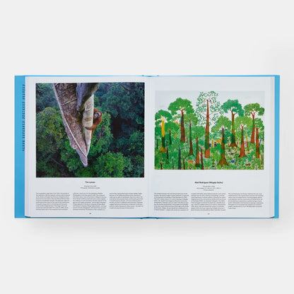 Open book showing two pages with one page featuring a photograph of an orangutan climbing a tree and the other featuring a bright forest illustration with little animals on a white background.