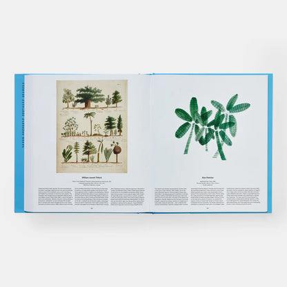 Open book showing illustrations of trees on a white background