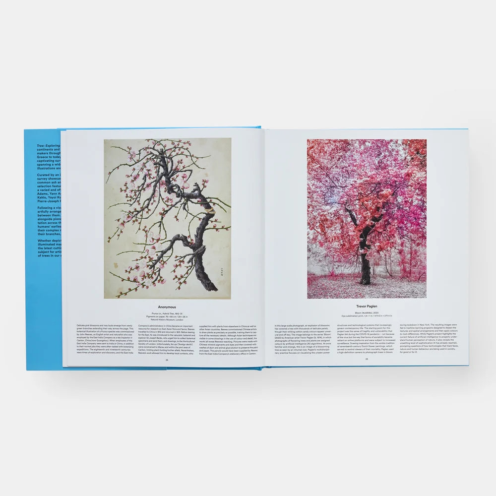 Open book showing two images of cherry blossom trees with text on a white background
