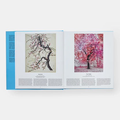 Open book showing two images of cherry blossom trees with text on a white background