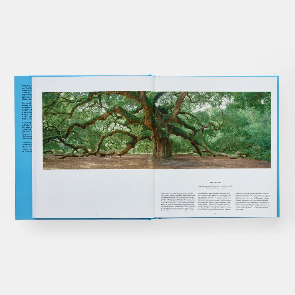 Open book showing a photograph of a large tree with text on a white background