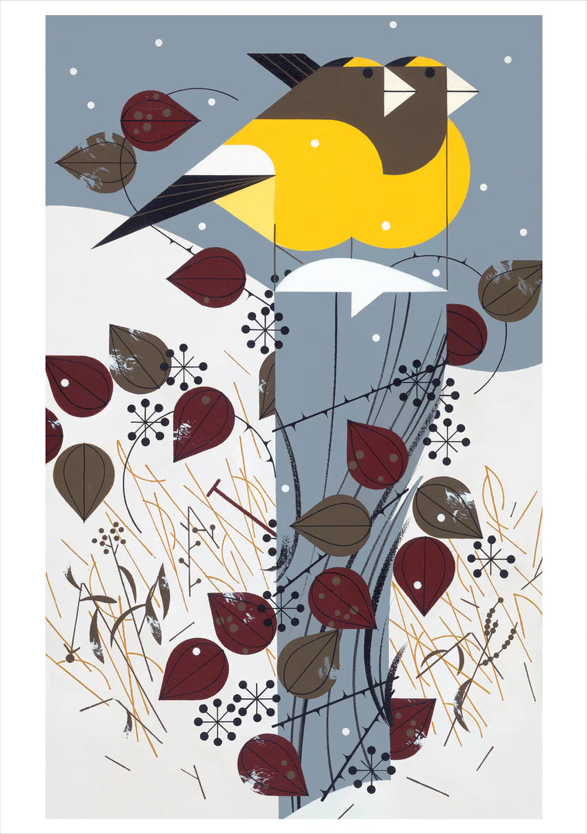 Harper, Birds Boxed Holiday Cards