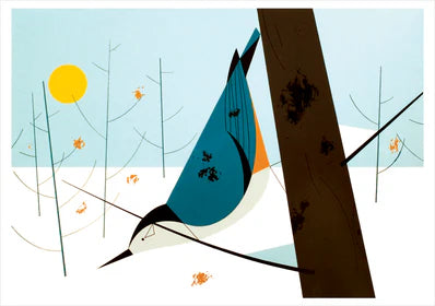 Harper, Birds Boxed Holiday Cards