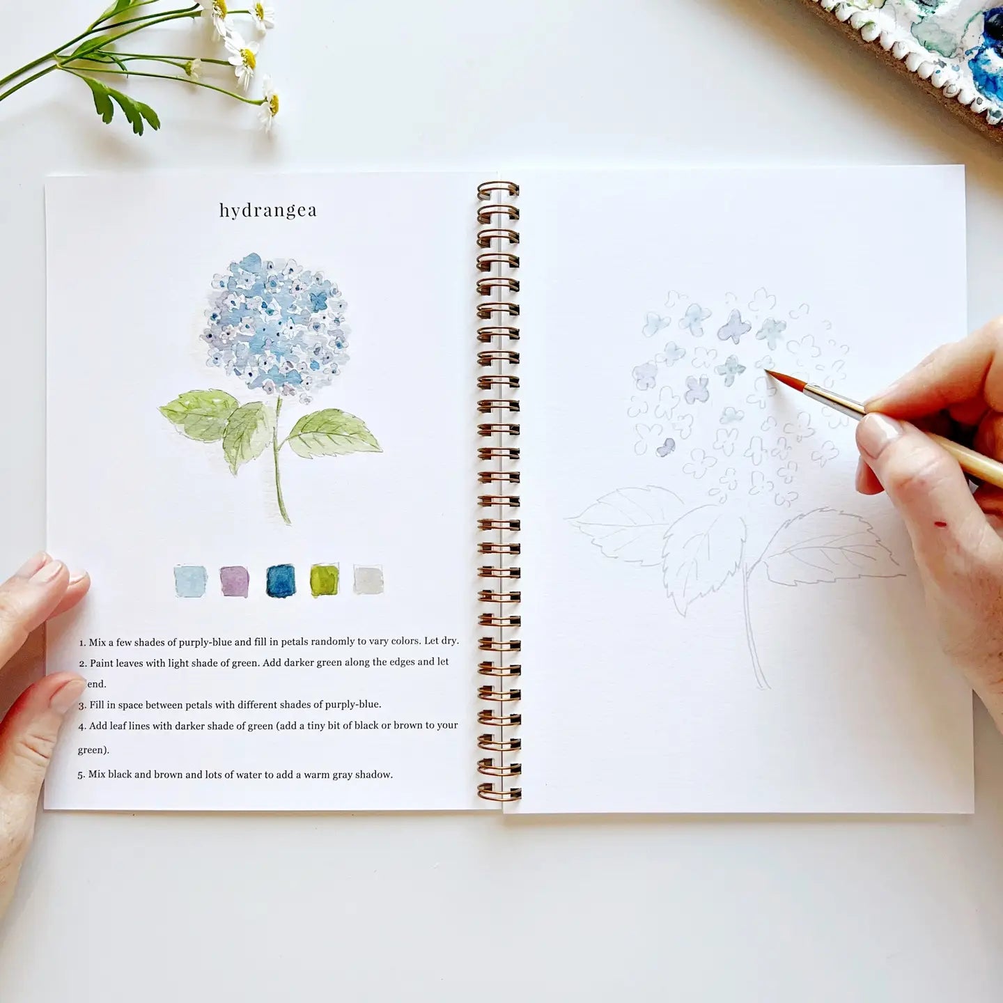 Open notebook with a coloring page of a hydrangea being colored with a pencil.